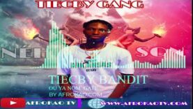 TIECBY ou ya  nom gâté