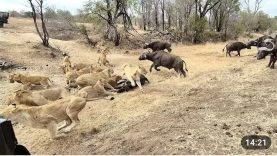 Screenshot_2026-06-14-10-12-54-688_com.google.android.youtube-edit